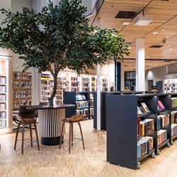 Åsane bibliotheek, Noorwegen