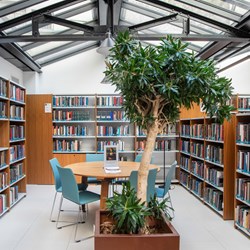 American University of Paris, Frankrijk